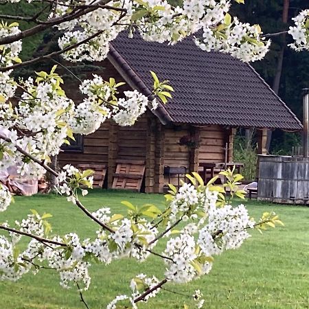 Mezupes Pension Tūja Buitenkant foto