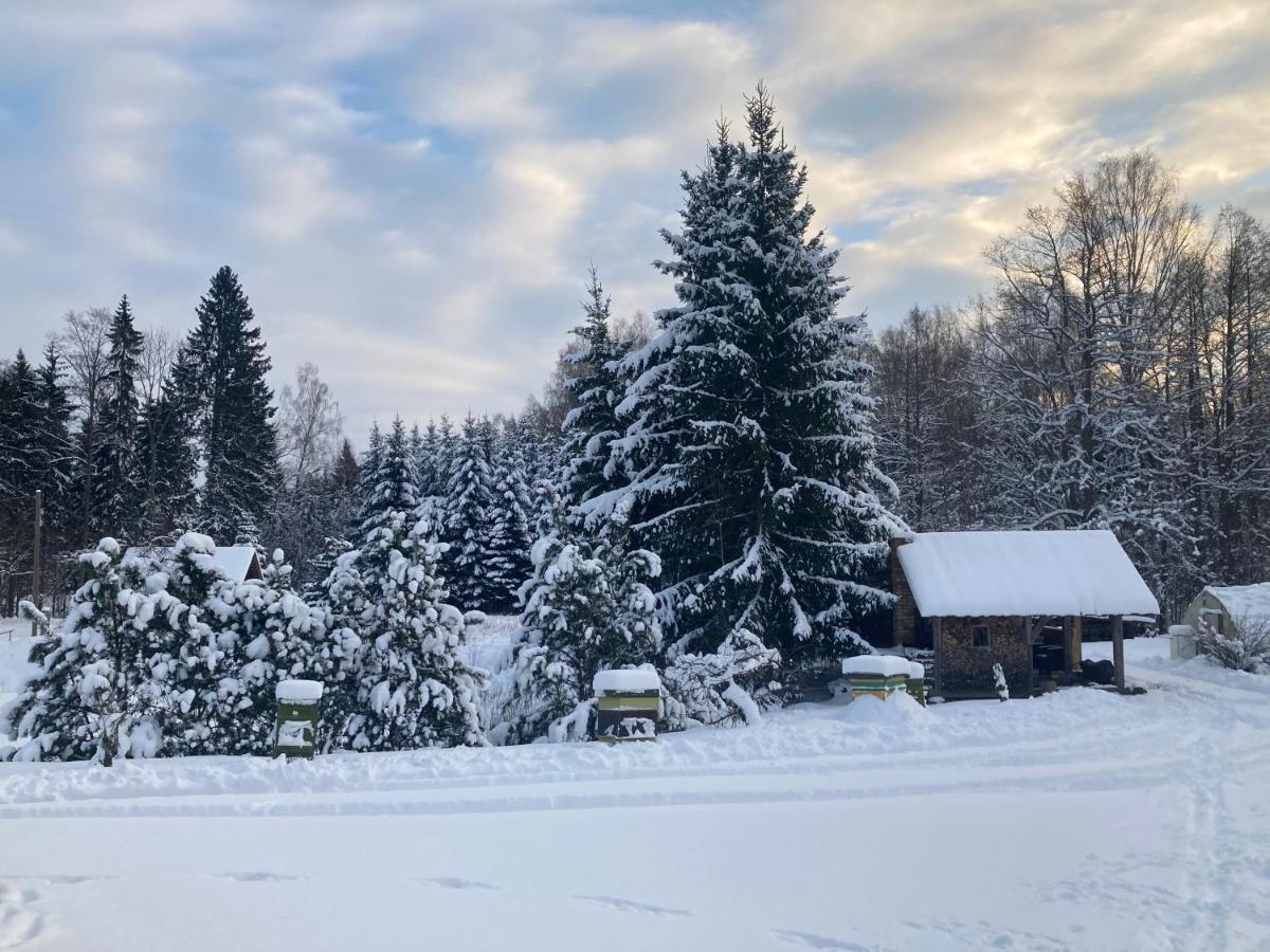 Mezupes Pension Tūja Buitenkant foto