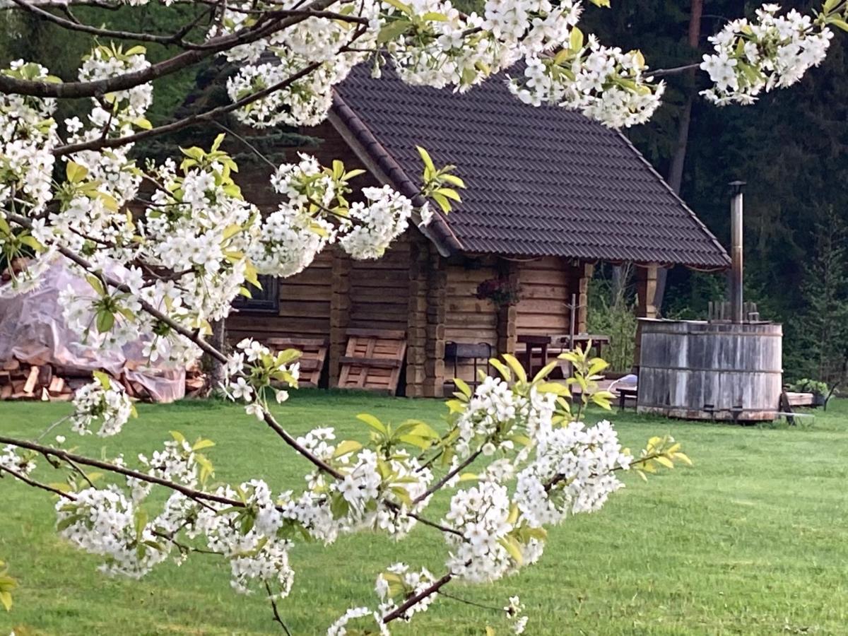 Mezupes Pension Tūja Buitenkant foto