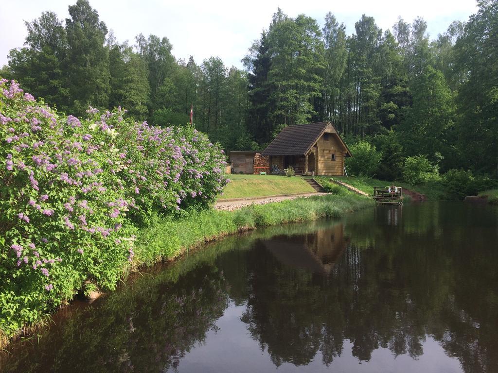 Mezupes Pension Tūja Buitenkant foto