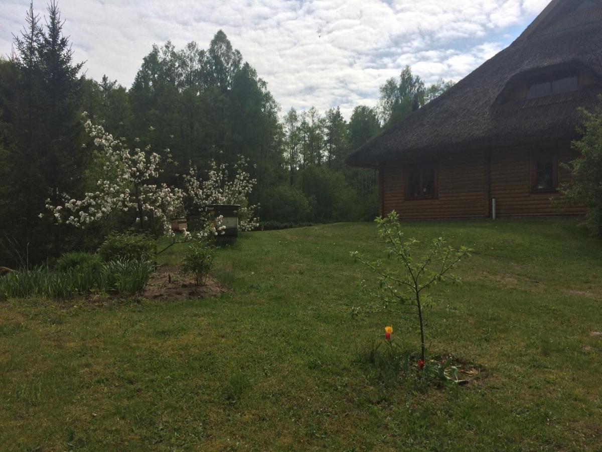 Mezupes Pension Tūja Buitenkant foto